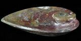 Colorful, Heart Shaped Fossil Goniatite Dish #62480-1